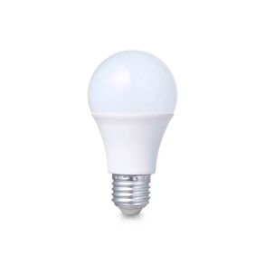 Ampolleta Rayovac Luz Blanca Base E27 43w