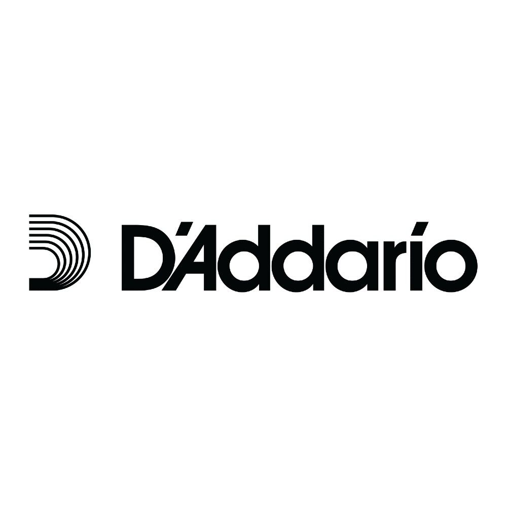 Cuerda Suelta Calibre .010 Single Plain Steel Pl010 Daddario image number 1.0