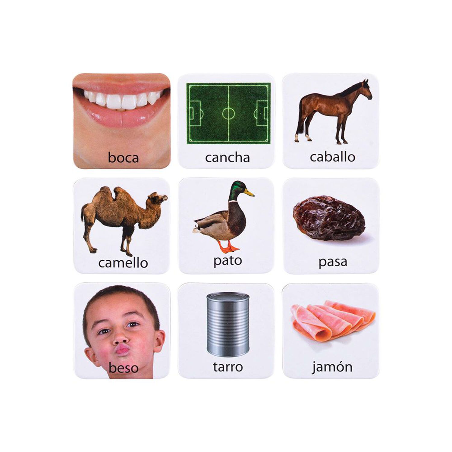Loter&iacute;a Discriminaci&oacute;n Auditiva image number 4.0