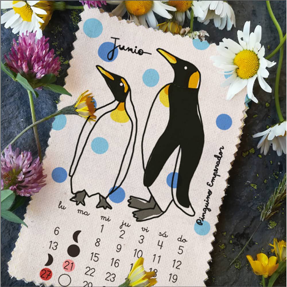 Calendario 2022 Aves Pajarito De Mimbre image number 6.0