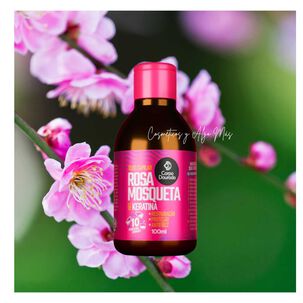 Aceite Capilar De Restauración Capilar Antifrizz Rosa Mosqueta 100ml