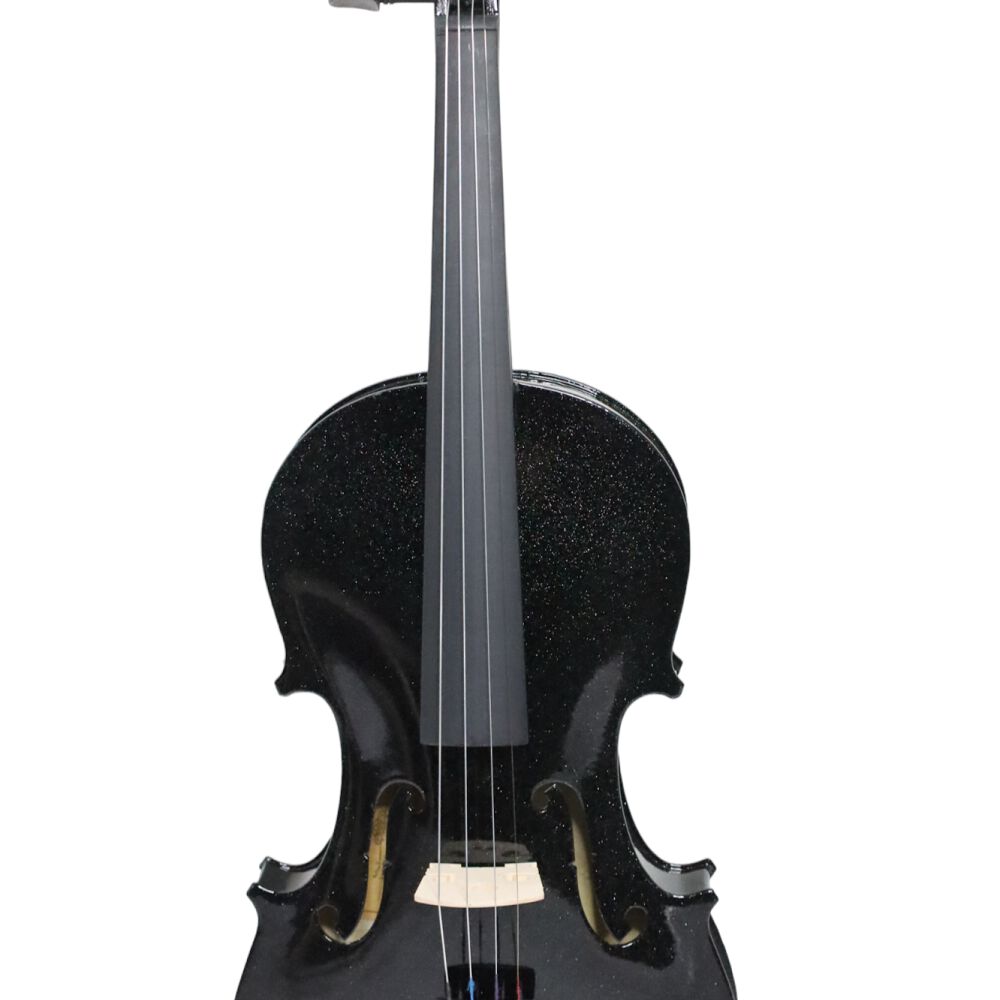 Violín Livorno Color Negro Brillante 4/4 Liv-20bs image number 0.0