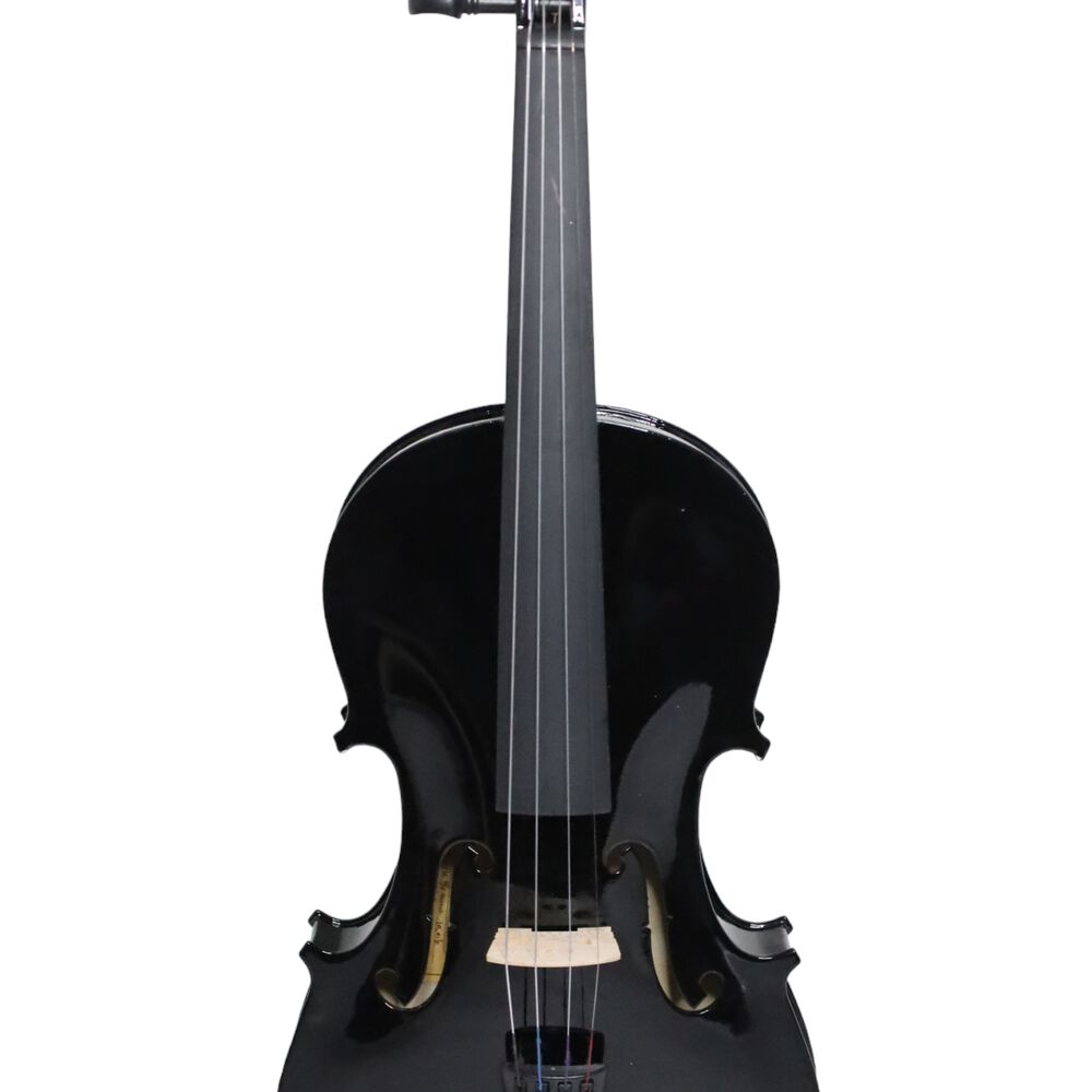 Violín Livorno Color Negro 4/4 Liv-20bk image number 0.0