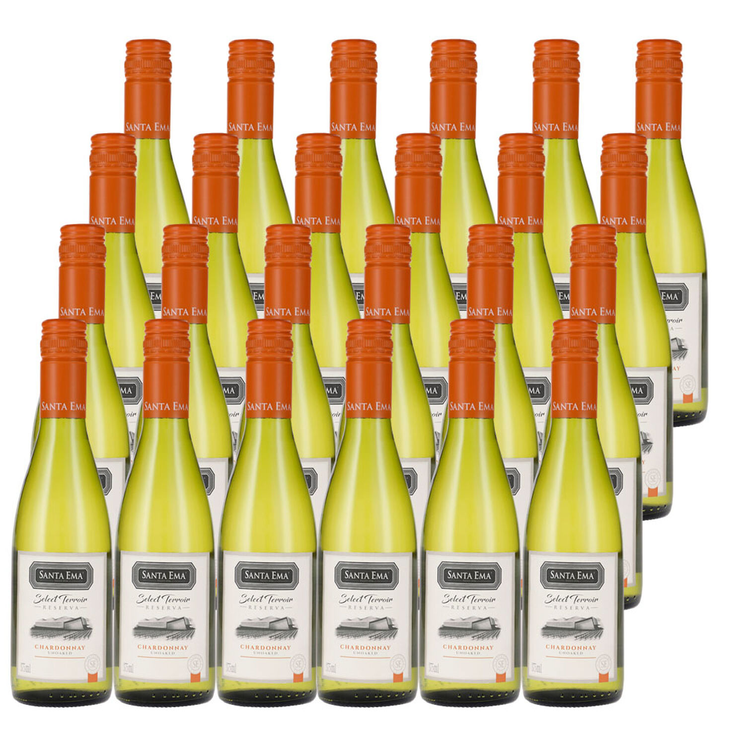 24 Vinos Santa Ema Selected Terroir Chardonnay 375 Ml. image number 0.0