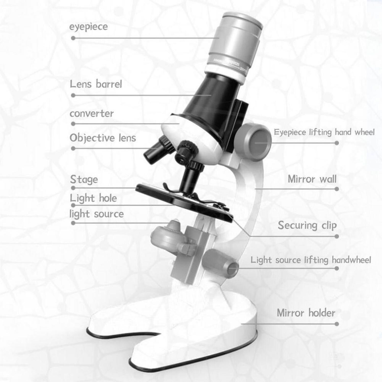Microscopio Educativo Juguete Ni&ntilde;os Kit Accesorios image number 5.0