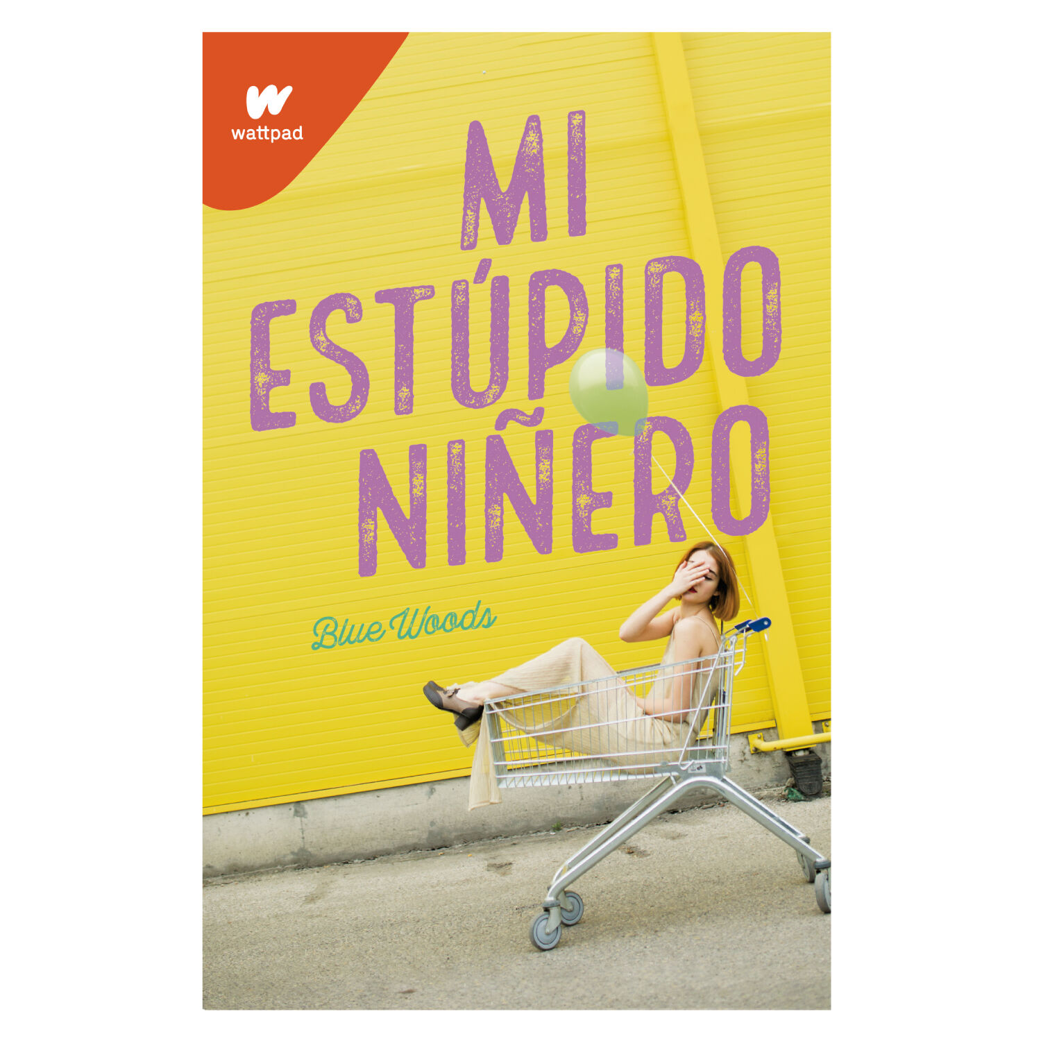Mi Est&uacute;pid-o Ni&ntilde;ero image number 0.0