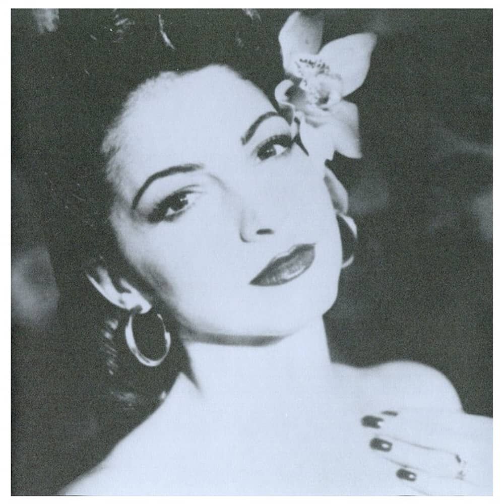 Gloria Estefan - Essential Gloria Estefan (2cd) | Cd image number 3.0