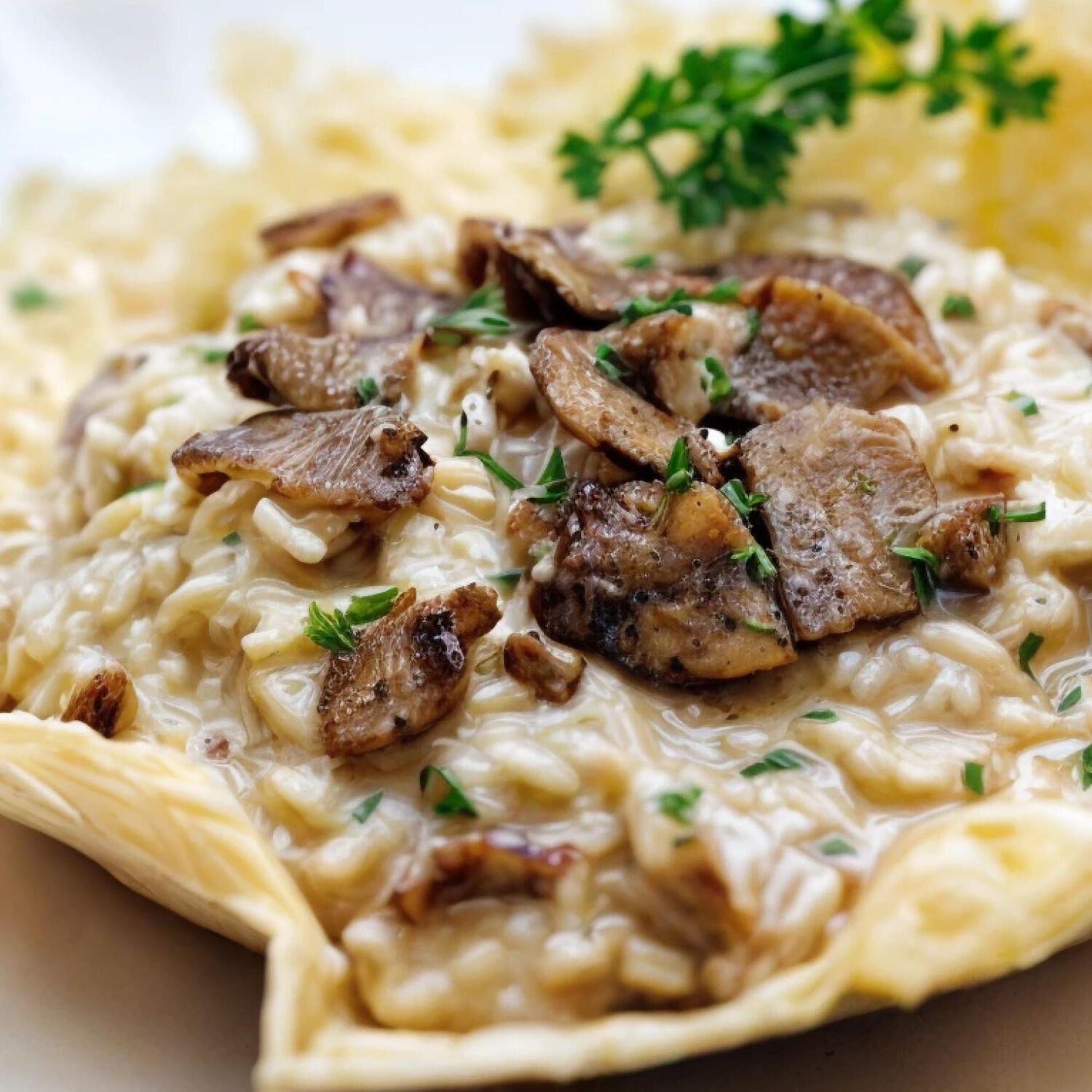 Pr Tiberino Risotto Porcini 1 X 200 Gr image number 3.0