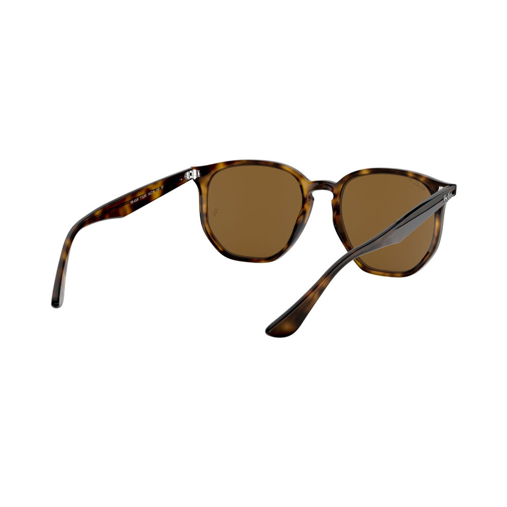 Lentes De Sol Havana Polarizados Ray-ban image number 7.0