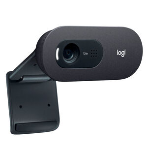 Cámara Webcam Logitech C505e Hd 720p Con Micrófono | Lifemax