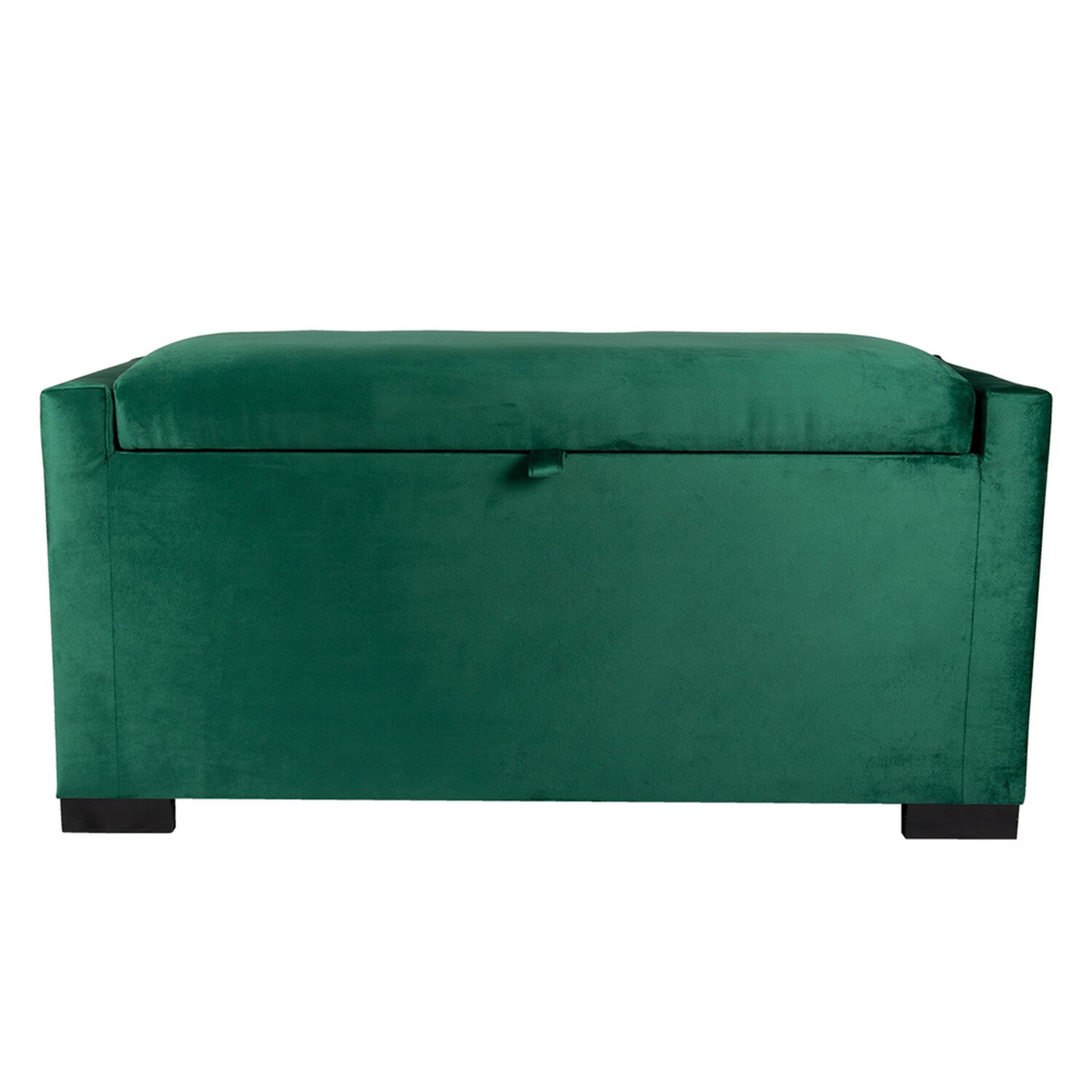 Banqueta Leyzy Con Ba&uacute;l Verde Botella Felpa 40x55x105 Cm M&aacute;xima Design image number 0.0