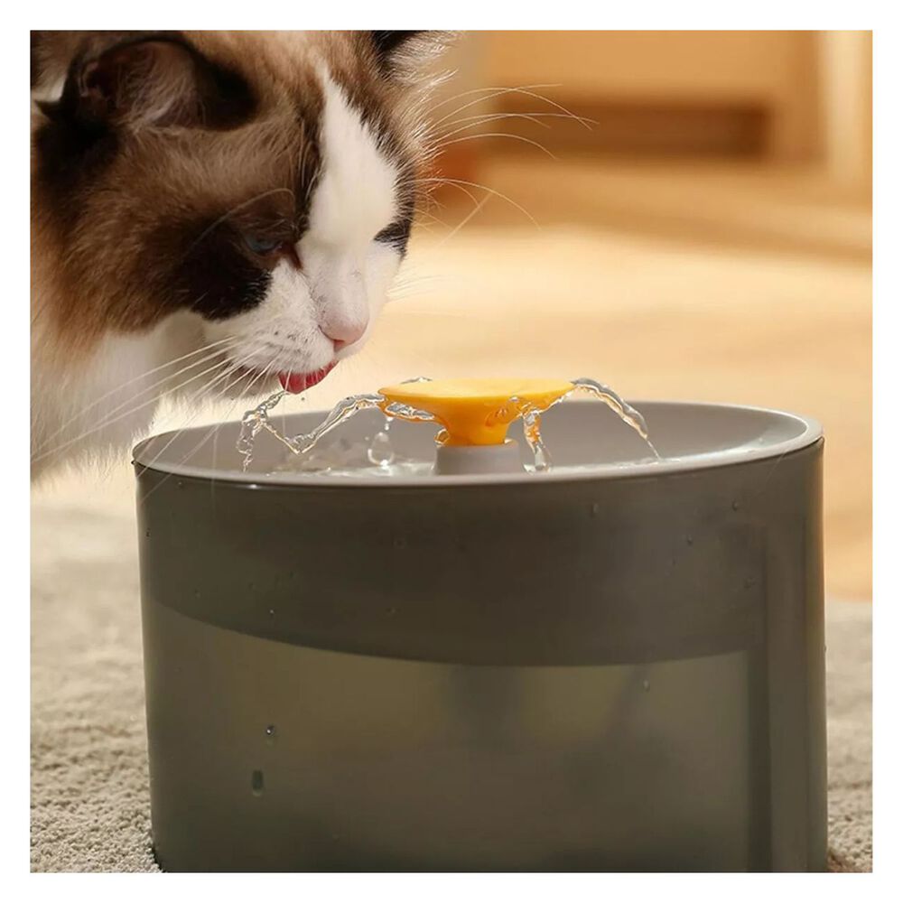 Fuente De Agua Para Gato Dispensador Autom&aacute;tico Ergon&oacute;mico image number 2.0