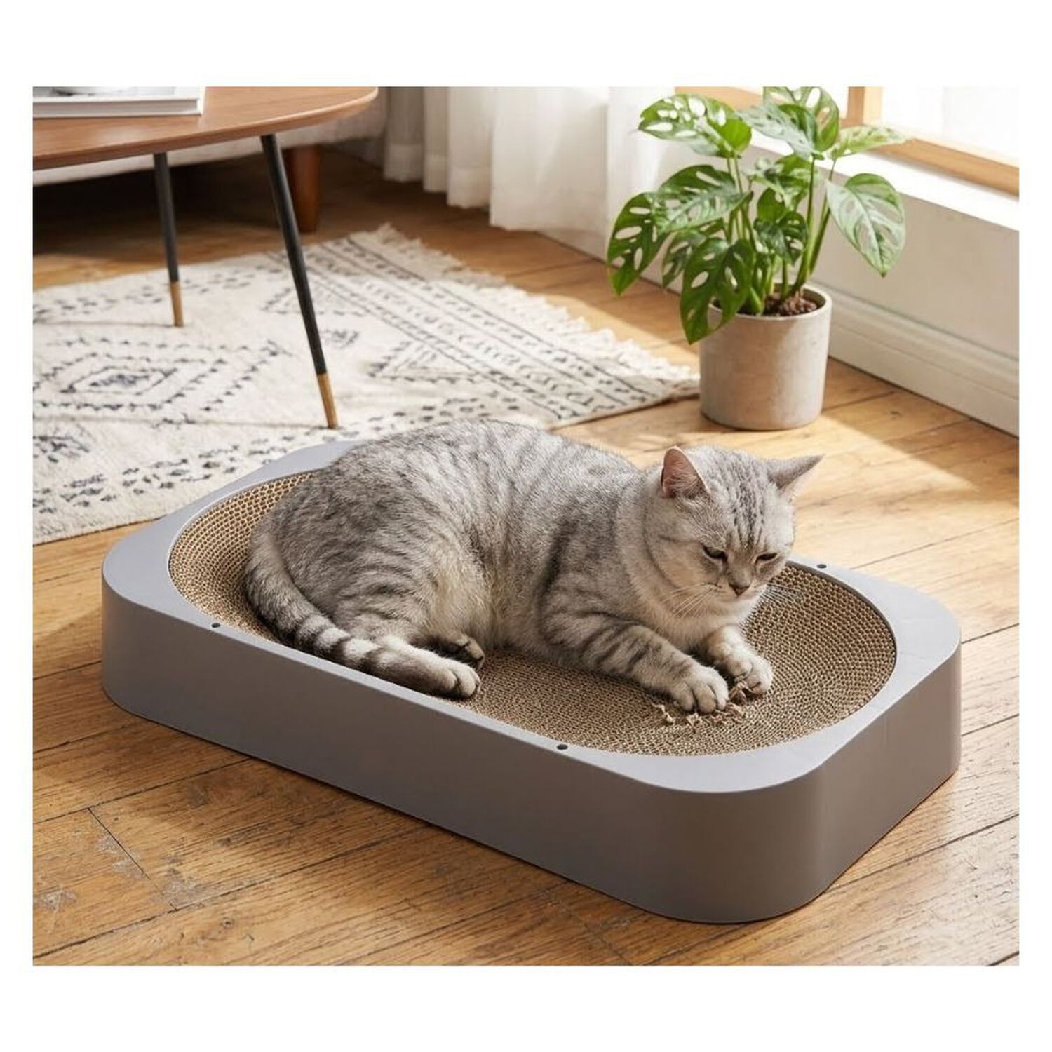 Rascador Para Gatos Con Base Ovalada Cart&oacute;n Corrugado Gris image number 2.0