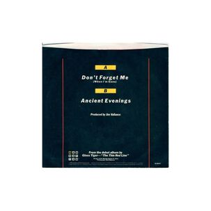 Glass Tiger - Don't Forget Me (when I'm Gone) | 7" Single Vinilo Usado