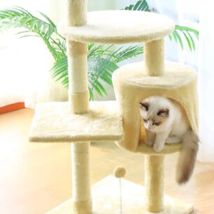 Rascador Para Gatos Beige