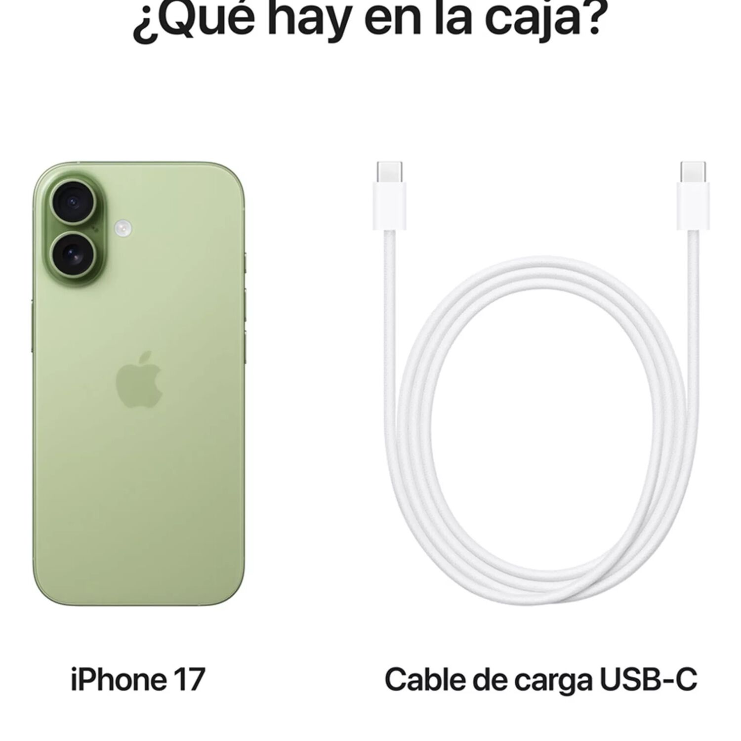 Iphone 17 256 Gb Verde (solo Compatible Con Esim) image number 3.0