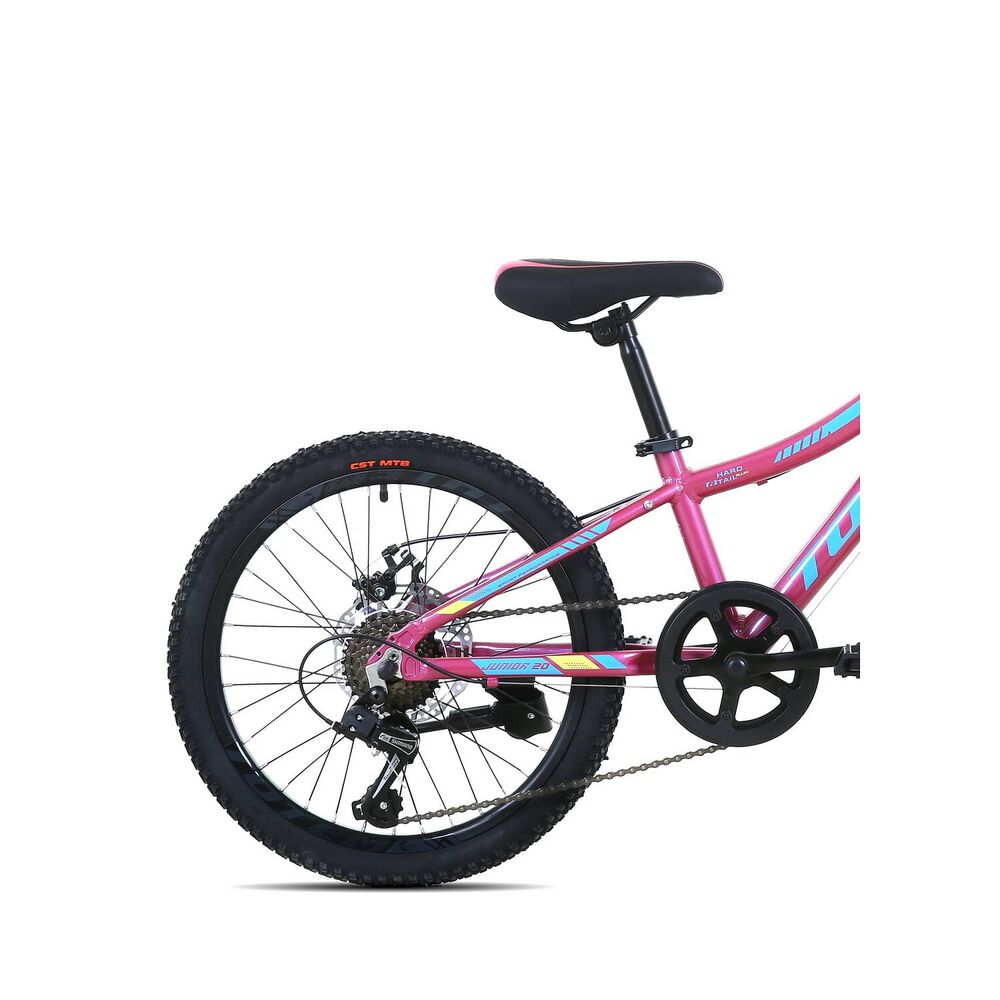 Bicicleta Totem Mtb Aro 20 Modelo 1100 Rosado image number 3.0