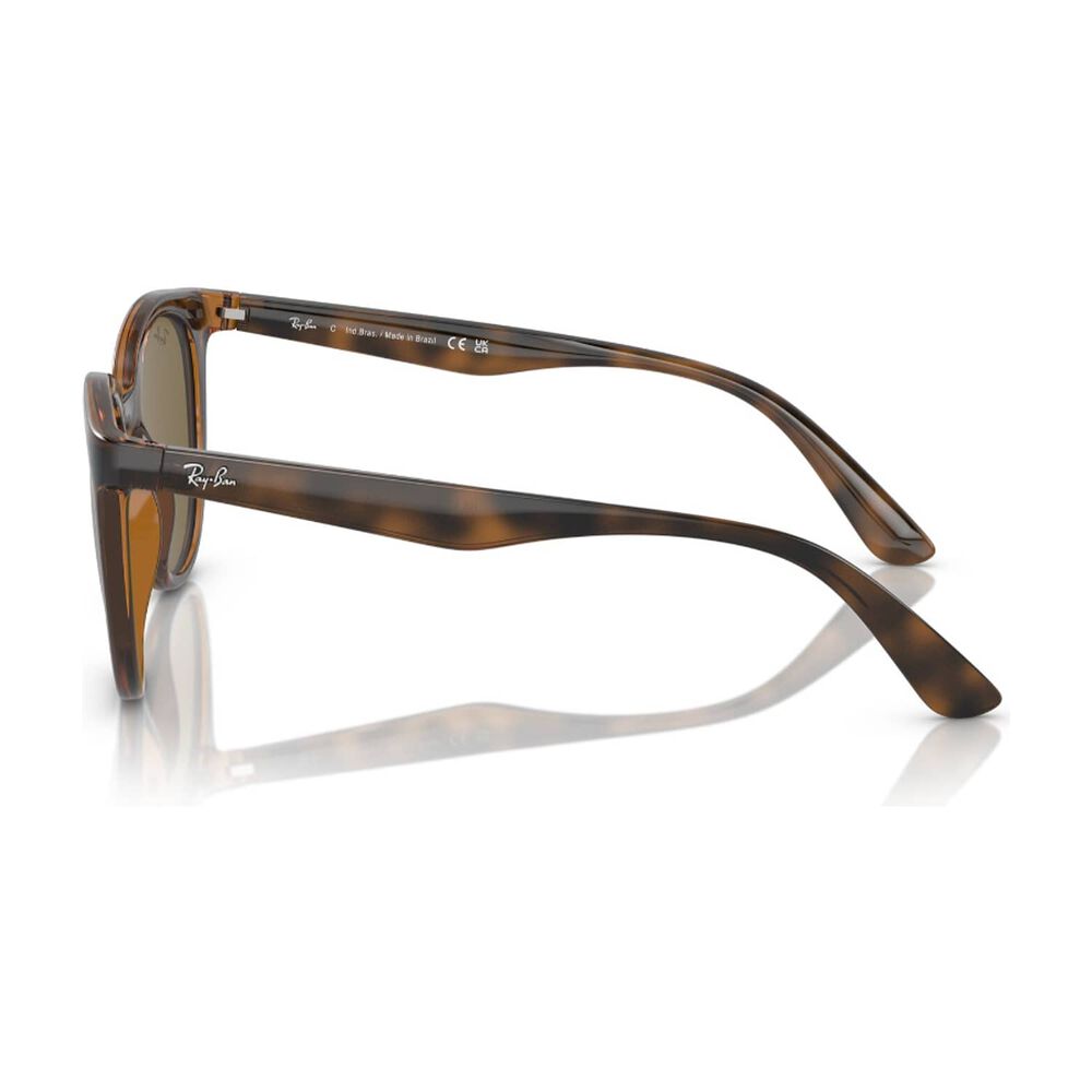 Lentes De Sol Dark Havana Ray-ban image number 2.0