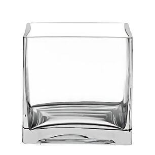 Florero Quadro 12cm Vidrio Transparente Cuadro Allegra