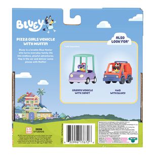 Set Figura Bluey Y Su Auto