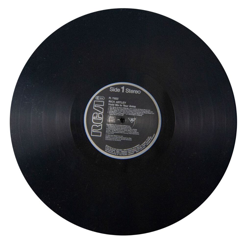 Rick Astley - Hold Me In Your Arms | Vinilo Usado image number 4.0