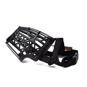 Bozal Pequeño Negro Chinitown