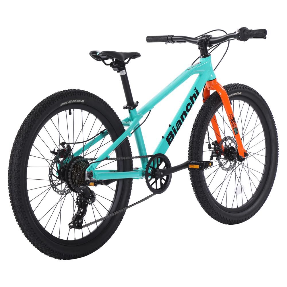 Bicicleta Mountain Bike Bianchi Bianchi Alloy 24 / Aro 24 image number 2.0