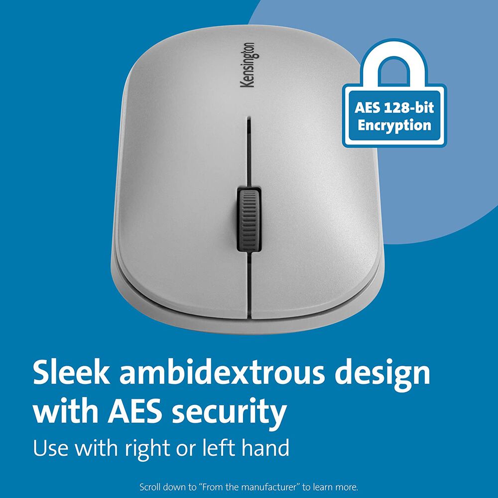 Mouse Dual Kensington Suretrack Gris image number 1.0