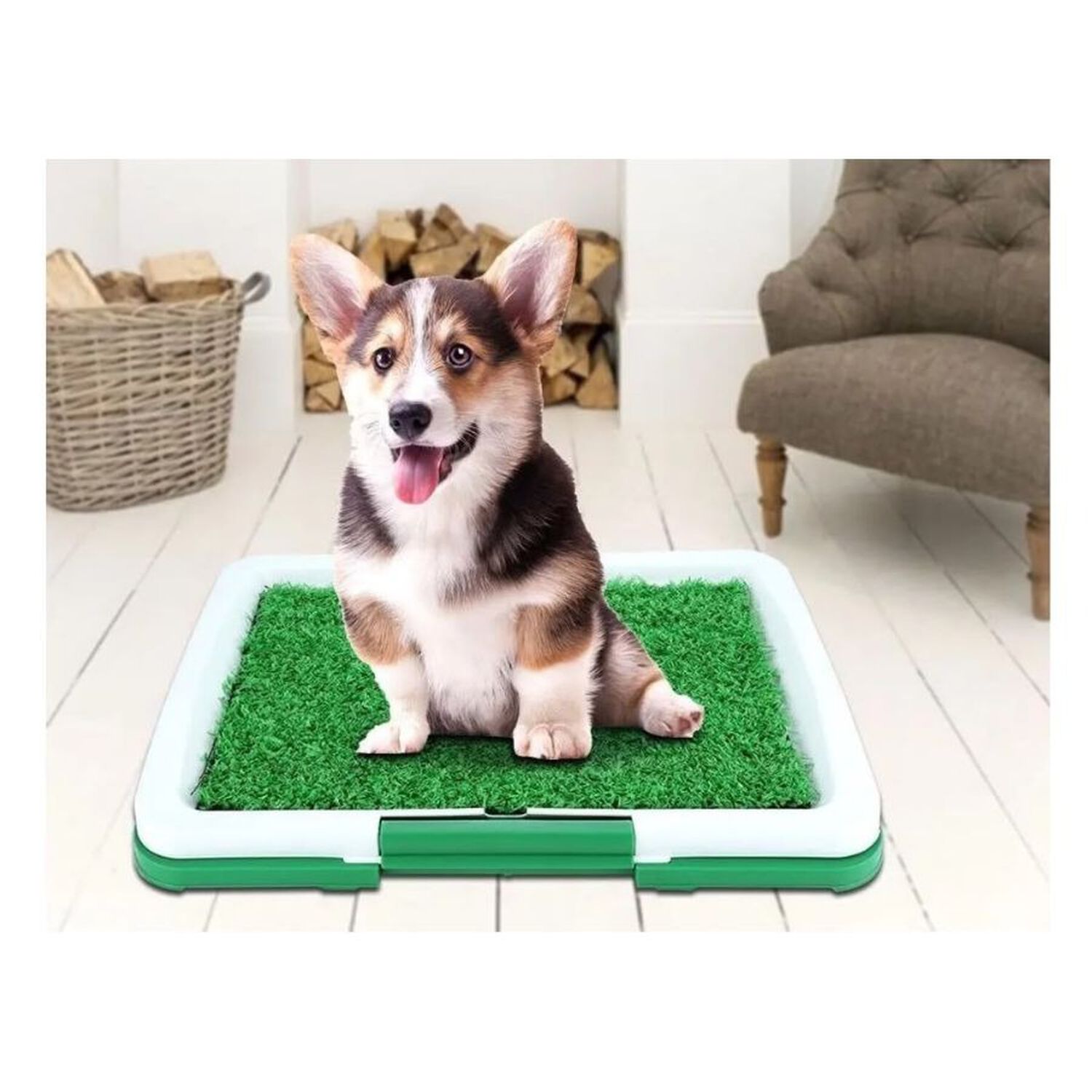 Ba&ntilde;o Ecol&oacute;gico Para Perros C&eacute;sped Sint&eacute;tico Con Bandeja Peque&ntilde;o Talla S image number 1.0