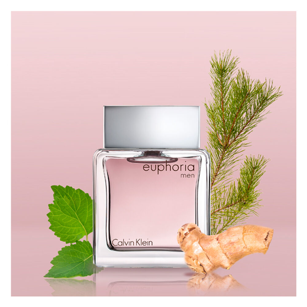 Euphoria Men 100 Ml Edt Calvin Klein image number 3.0