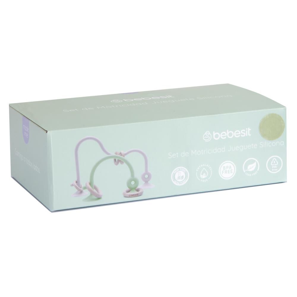 Juguete Did&aacute;ctico Bebesit Bb05ttr063be image number 4.0