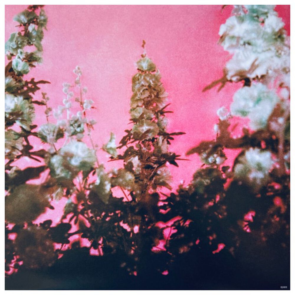 Lana Del Rey - Did You Know That There's A Tunnel Under Ocean Blvd (2lp) (coloured Vinyl) | Vinilo image number 16.0