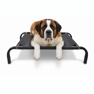 Cama Mascota Catrex L Estructura De Acero Malla Transpirable