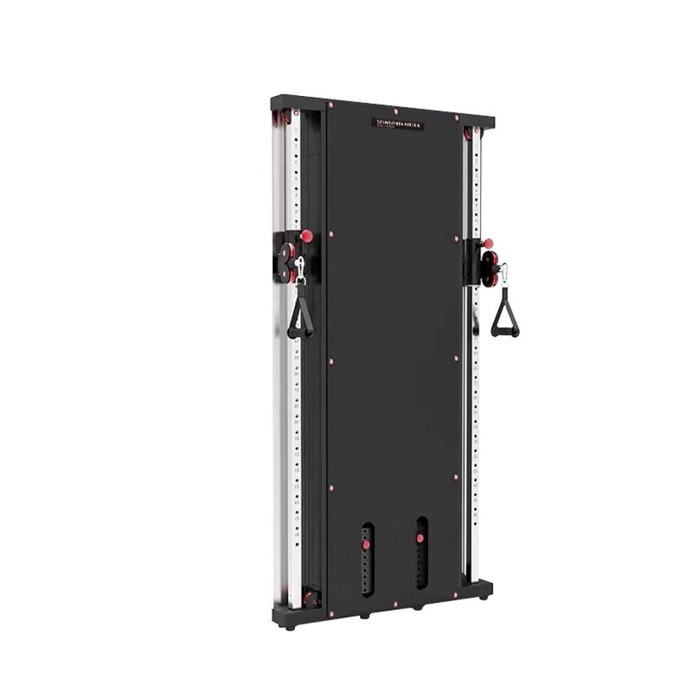 Wall Mounted Multi Functional Trainer image number 1.0