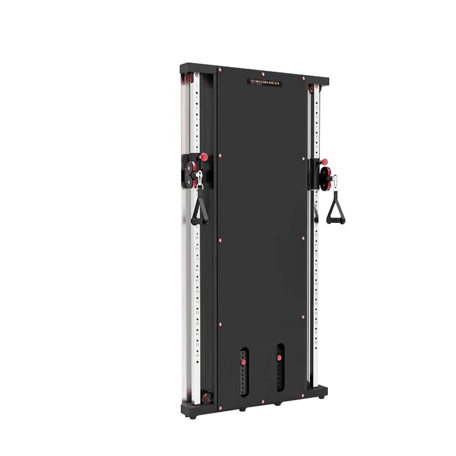 Wall Mounted Multi Functional Trainer image number 1.0