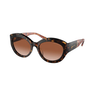 Lentes De Sol Brussels Havana Polished Michael Kors