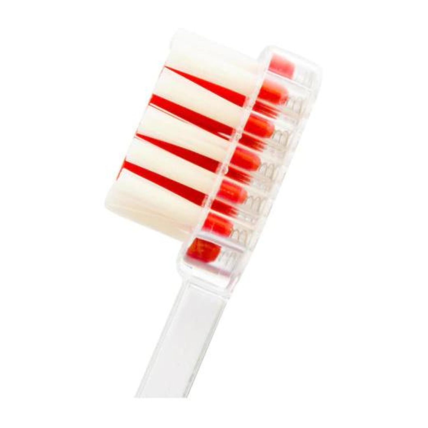 Cepillos De Dientes Eminent - Multicolor image number 1.0