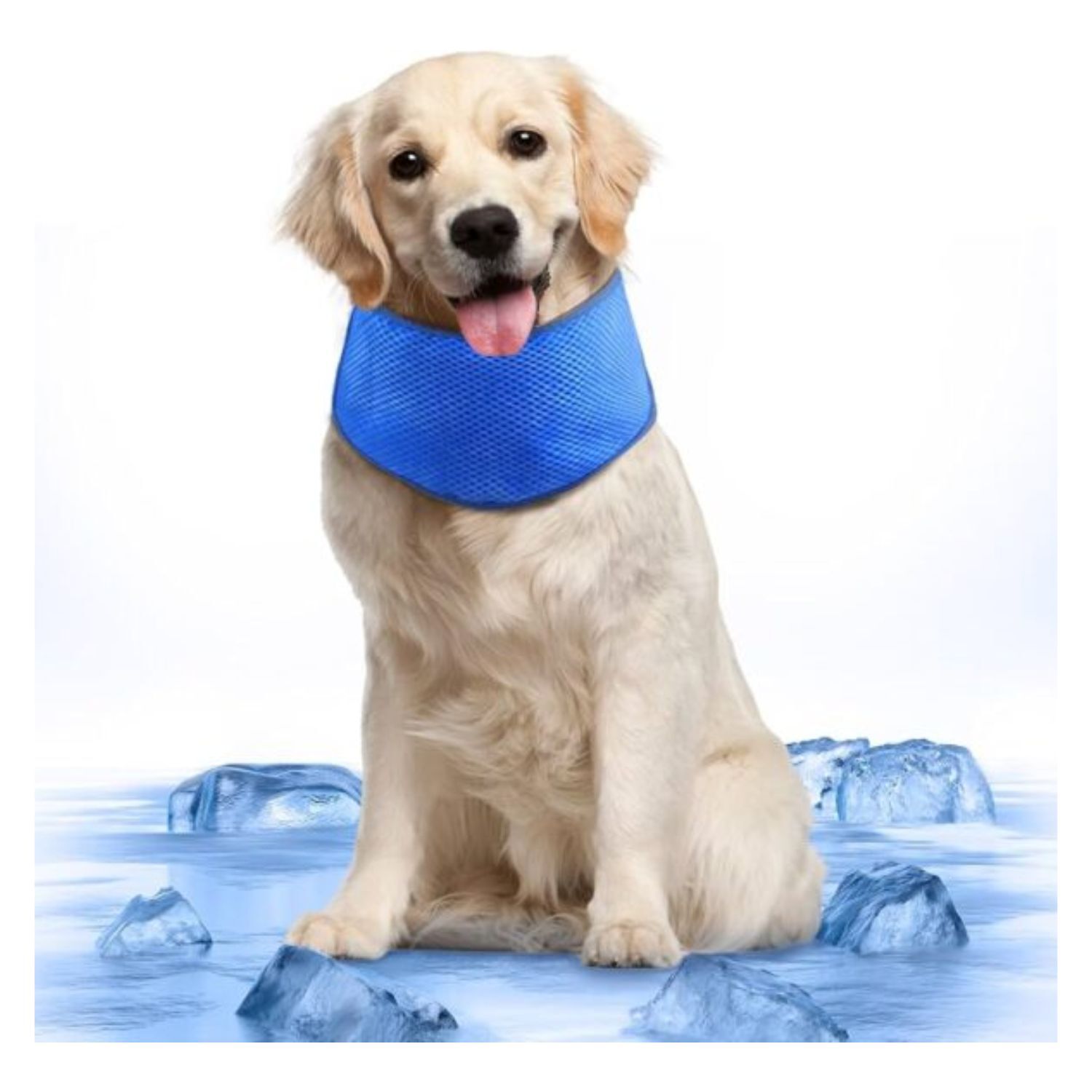 Collar Bandana Refrescante Para Perros Talla M 28-40cms image number 2.0