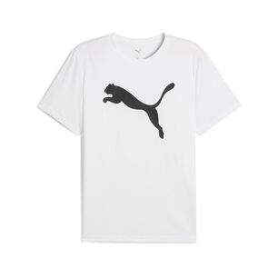 Polera Deportiva Hombre Puma