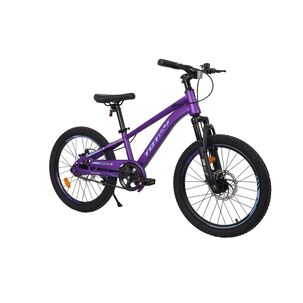 Bicicleta Totem Mtb Aro 20 Modelo Lyra Violeta
