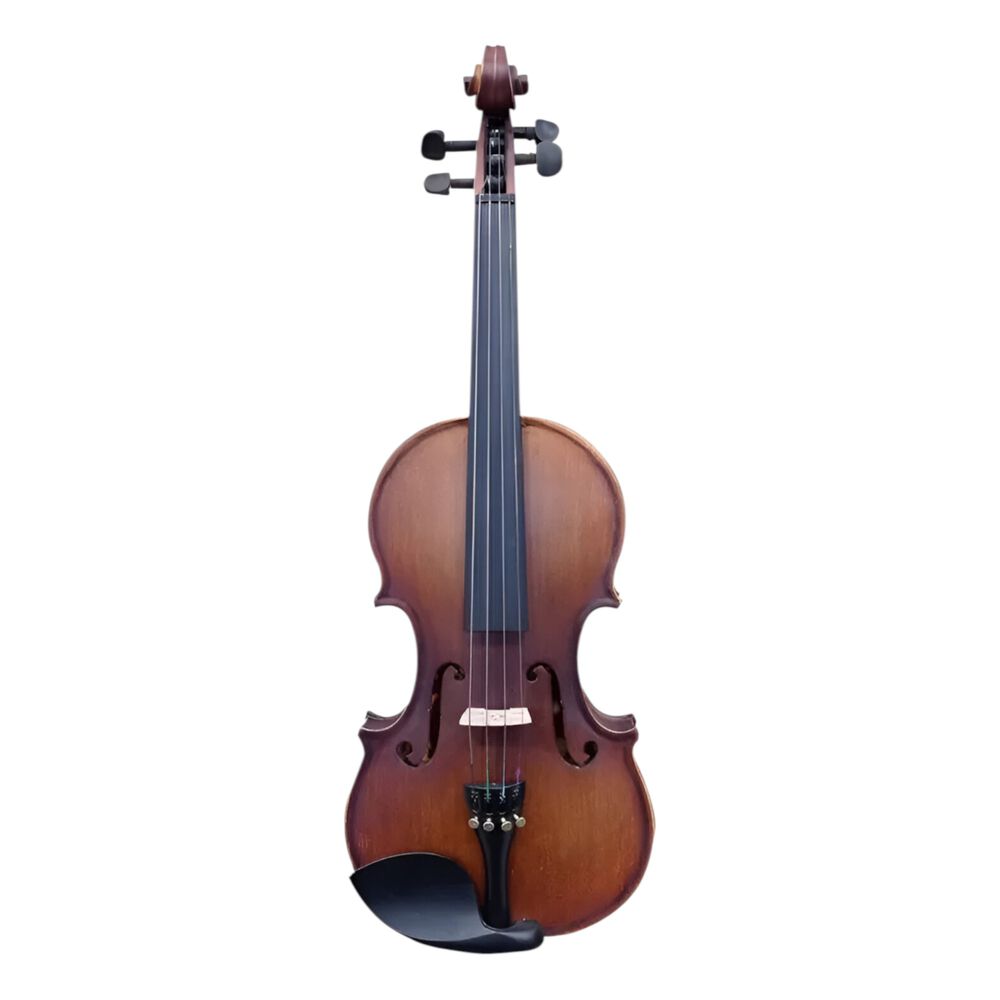 Violín Acústico 4/4 Serie Ly Classic + Estuche Rígido Y Acc image number 2.0