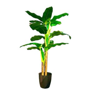 Planta Artificial Banano Premium 180 Cm. / 14 Hojas / Arbusto Real