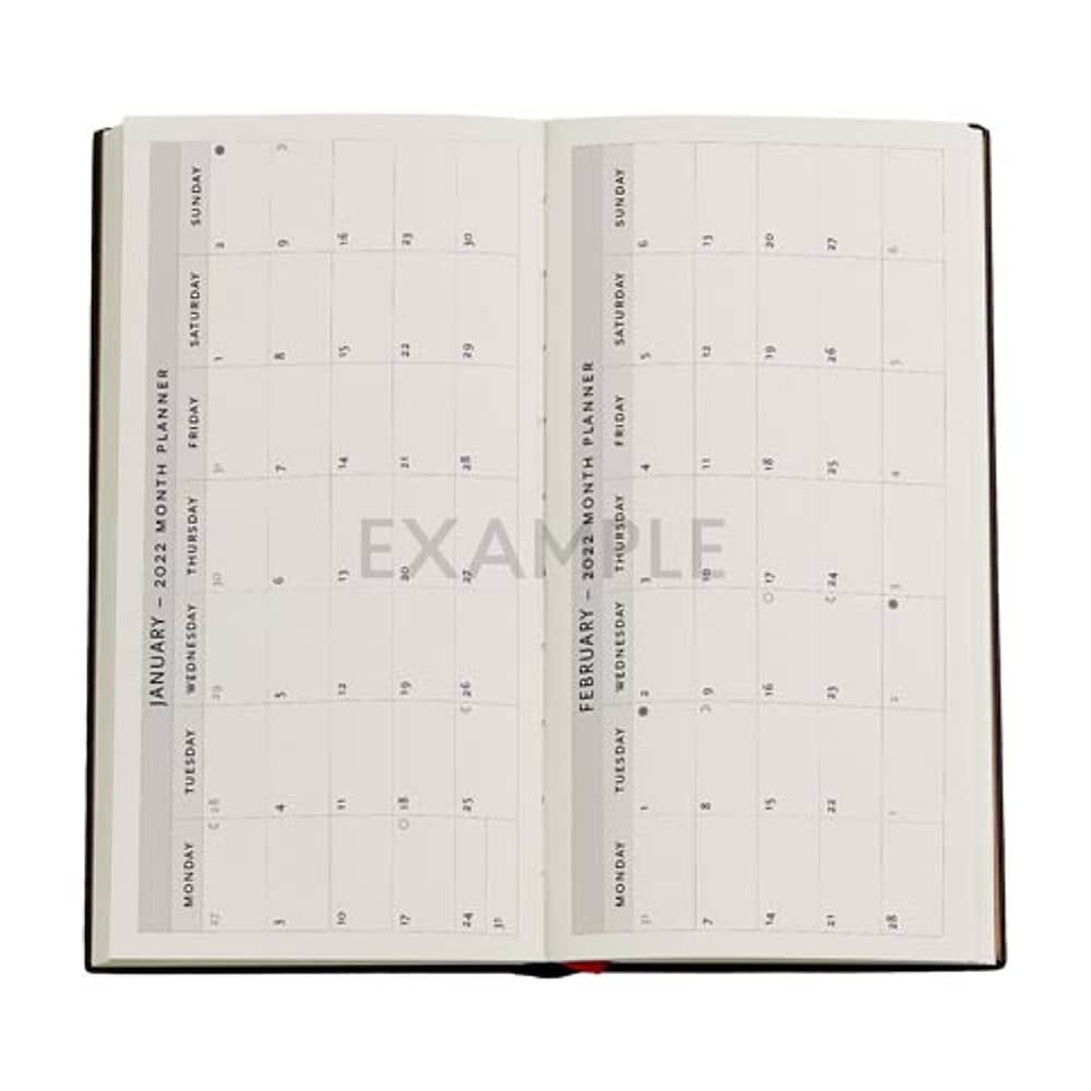 Agenda 2022 Hummingbirds Flutterbyes T. Dura Semana A Vista image number 3.0