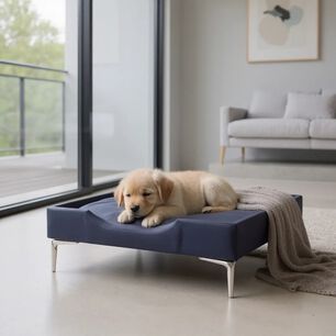 Cama De Mascotas - Talla S (55x40 Cm) / Pata Cromada 15 Cm (negro)