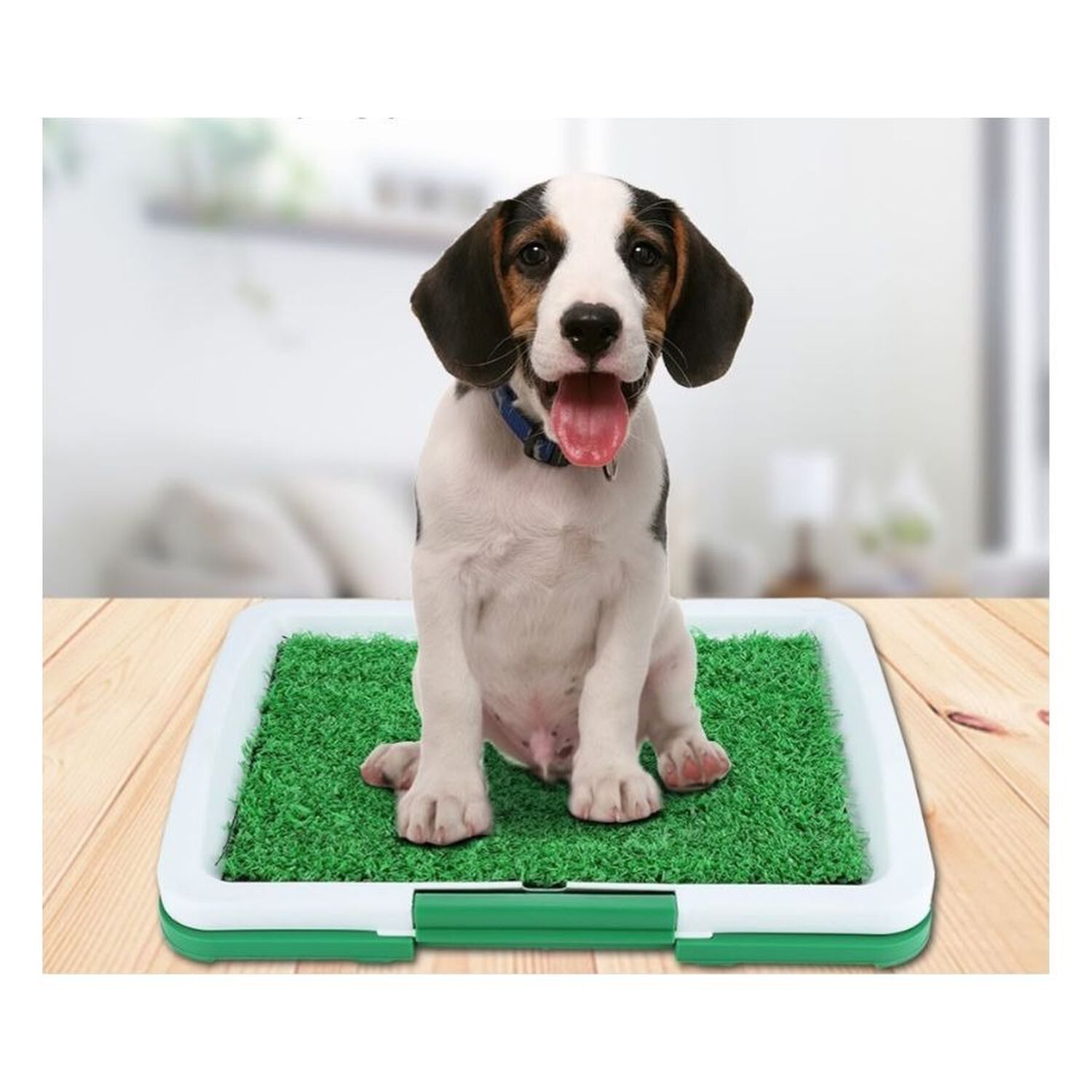 Ba&ntilde;o Ecol&oacute;gico Para Perros C&eacute;sped Sint&eacute;tico Con Bandeja Peque&ntilde;o Talla S image number 2.0