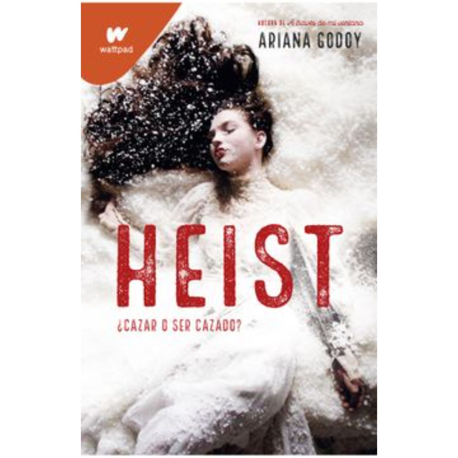 Heist image number 0.0