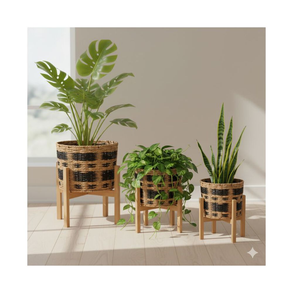 Set De 3 Maceteros Premium Con Bases De Madera image number 3.0