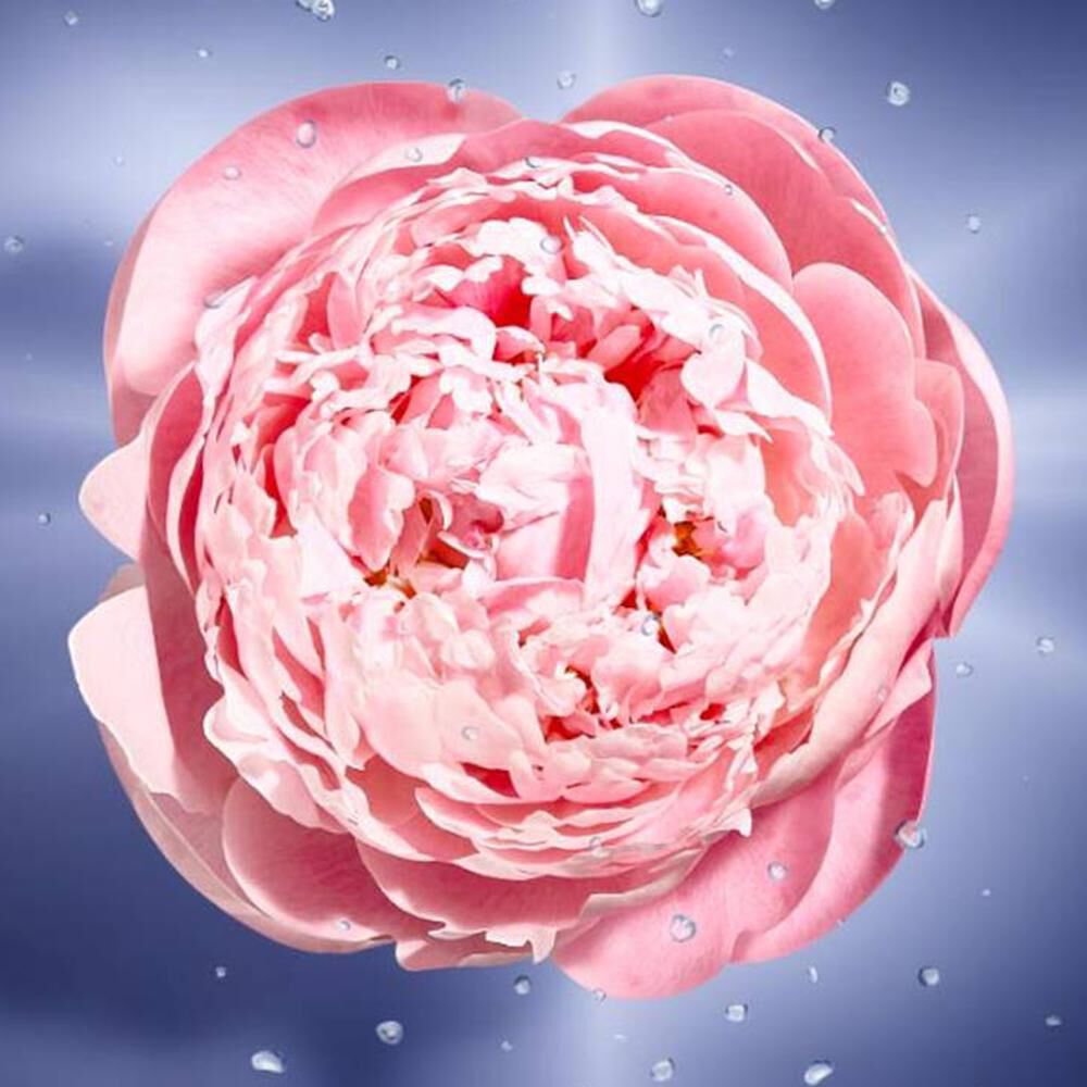 Perfume mujer La Vie Est Belle En Rose Lancome / 100 Ml / Edt image number 2.0
