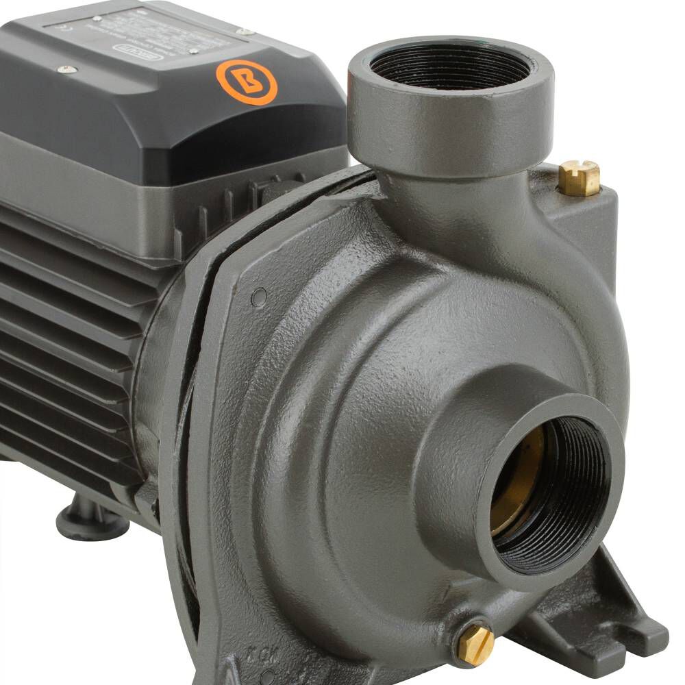 Electrobomba Superficie 1,5 Hp Centrífuga Gran Caudal image number 3.0