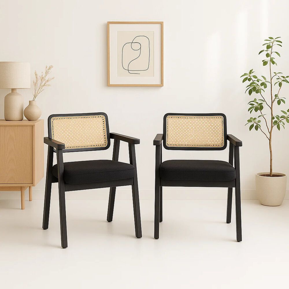 Pack De 2 Sitiales Acolchado Chandigarh Butaca Rattan - Negro image number 2.0